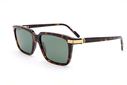 CT0220S Contemporary Acetate Sunglasses