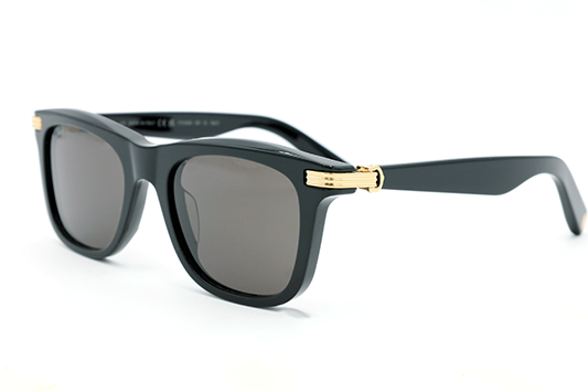 CT0396S Contemporary Acetate Sunglasses