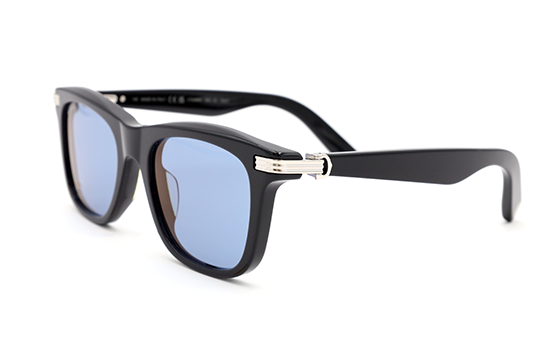 CT0396S Contemporary Acetate Sunglasses