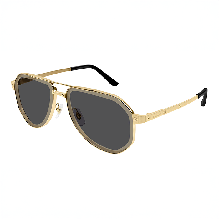 Cartier CT0461S Santos Aviator Sunglasses – MEG display picture 2