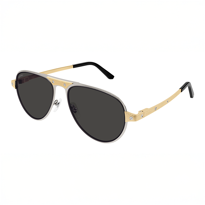 CT0533S Santos Sunglasses