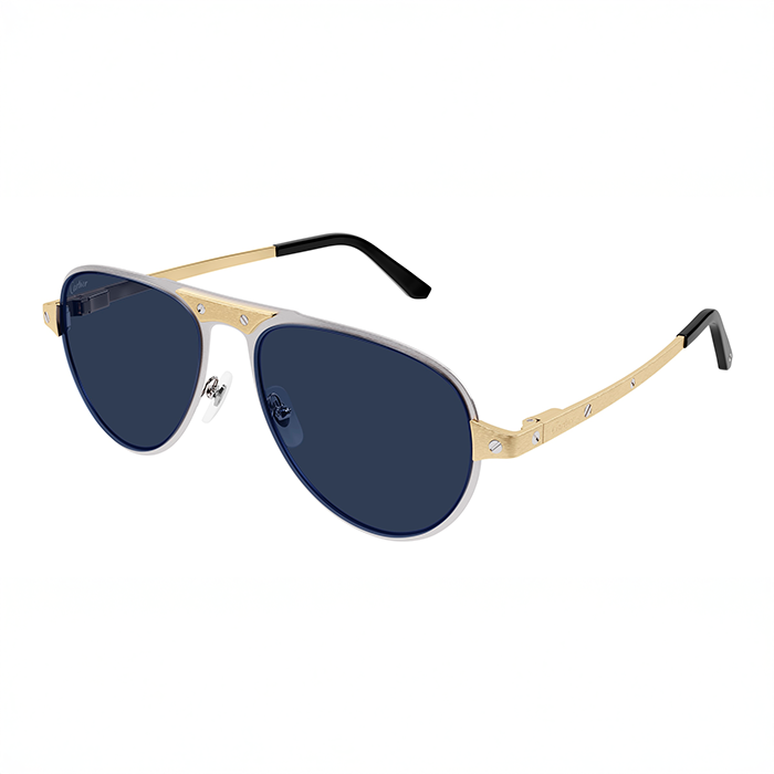 CT0533S Santos Sunglasses