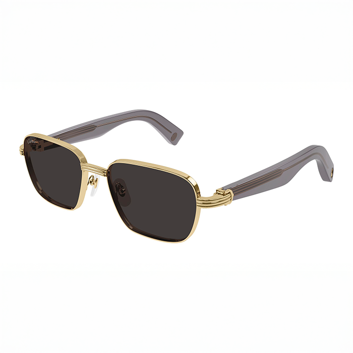 CT0538S Première Combination Sunglasses