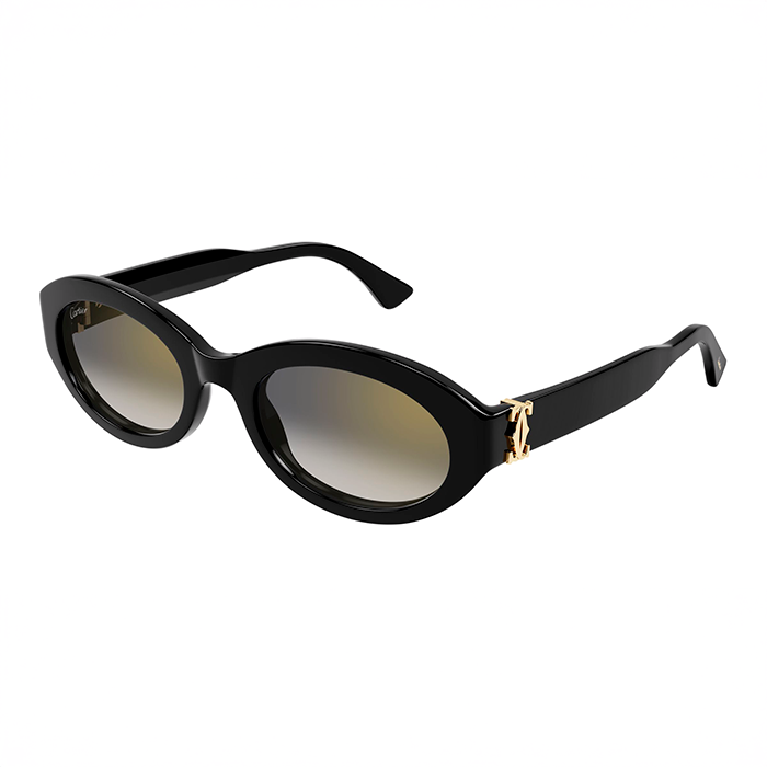 Oval Acetate Contemporary Sunglasses