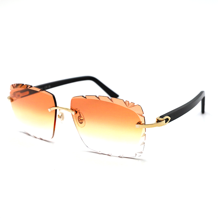 CT0048O Cartier Custom C Décor Acetate Sunglasses