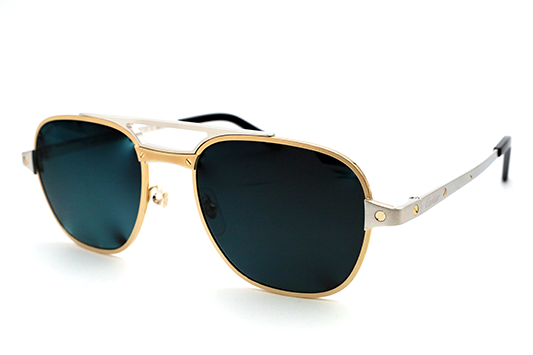 CT0477S Santos Sunglasses