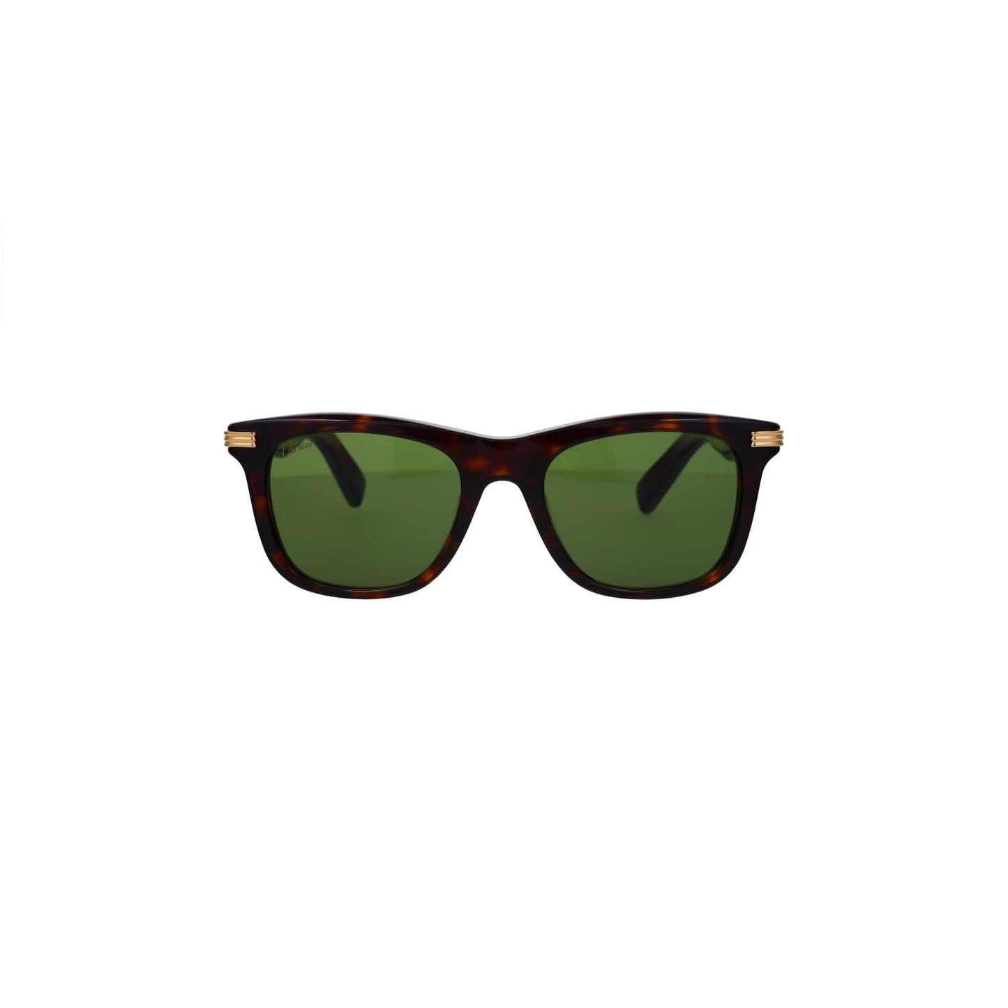 CT0396S Contemporary Acetate Sunglasses