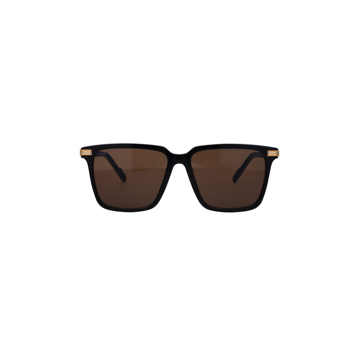 CT0220SA Contemporary Acetate Sunglasses