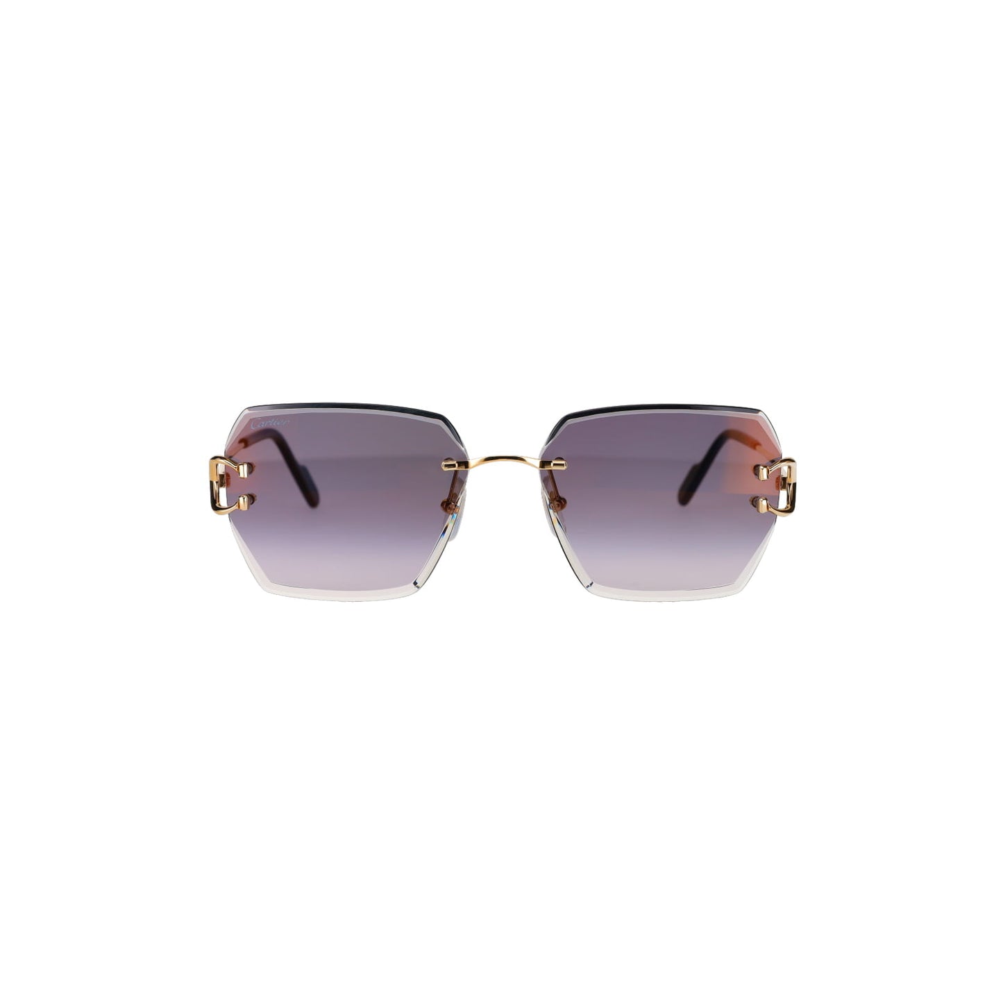 CT0466S Signature C de Cartier Sunglasses