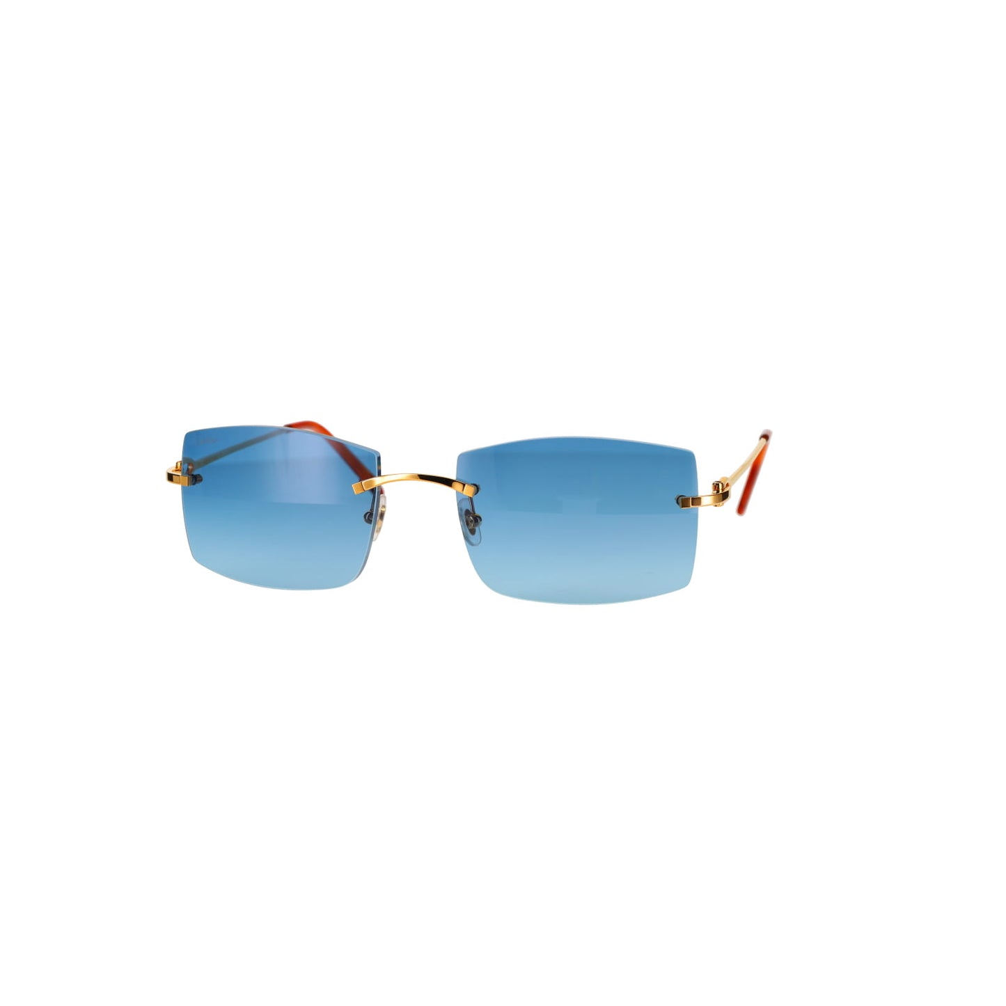 CT0005RS C Décor Sunglasses