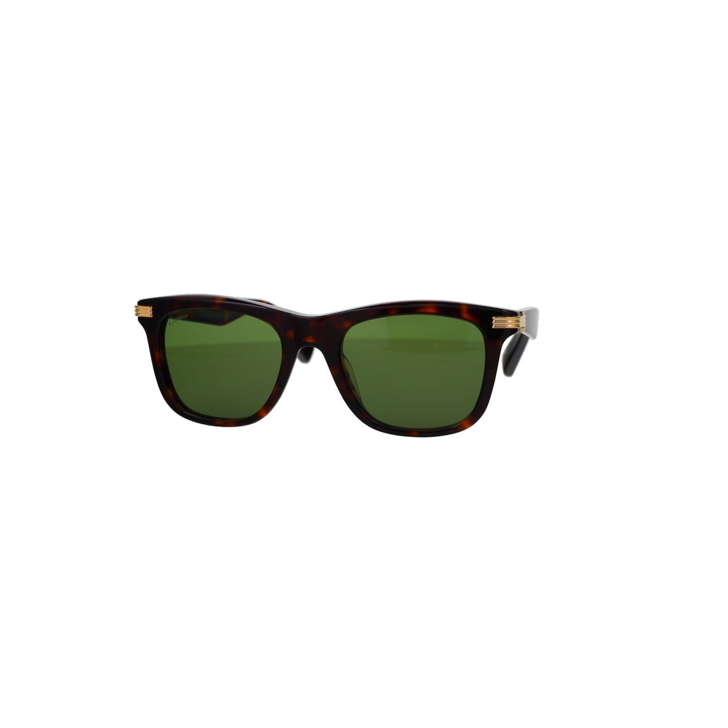 CT0396S Contemporary Acetate Sunglasses