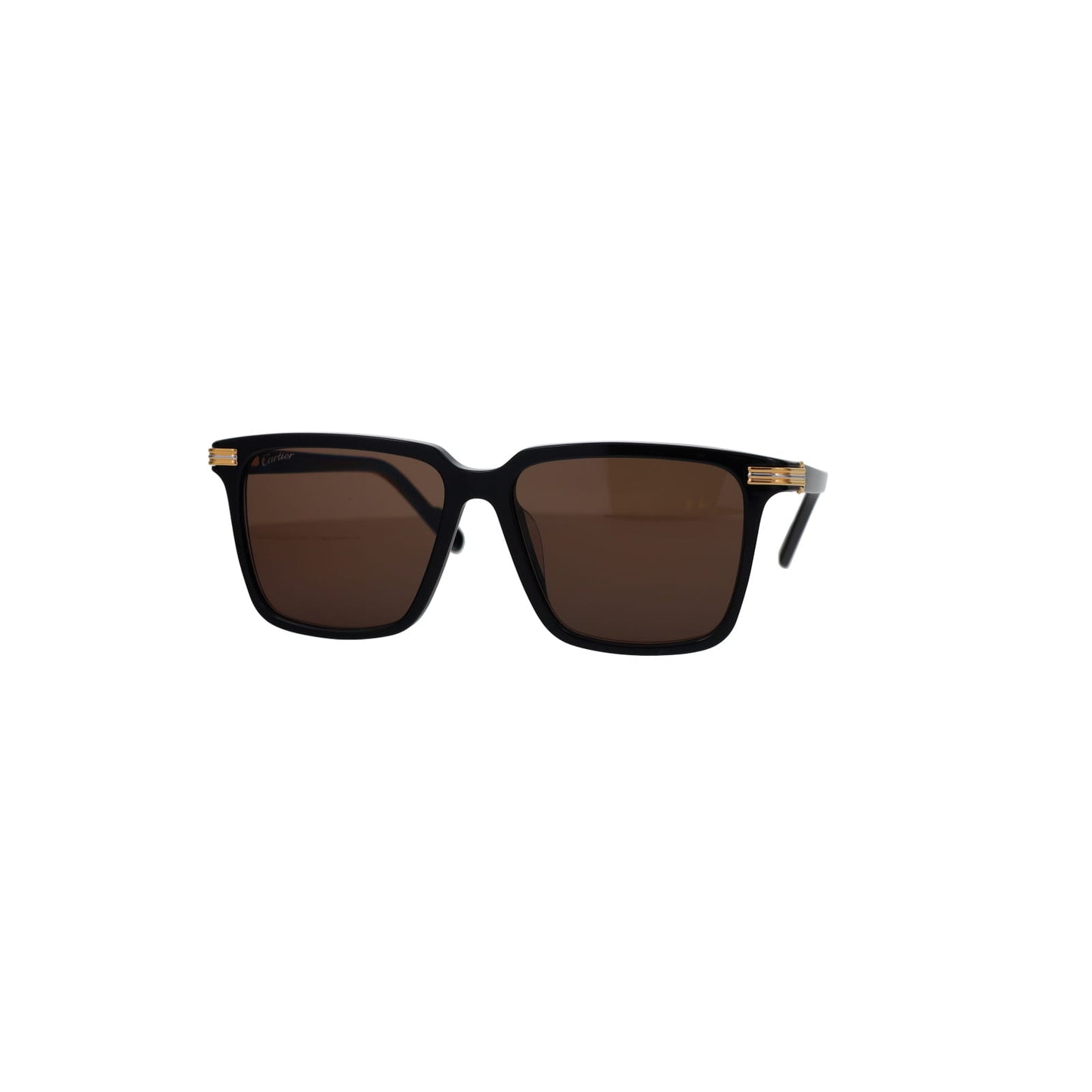 CT0220SA Contemporary Acetate Sunglasses