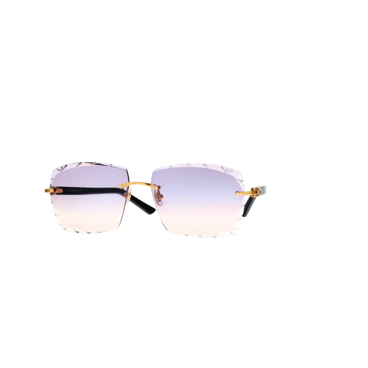 CT0048O Cartier Custom C Décor Acetate Sunglasses