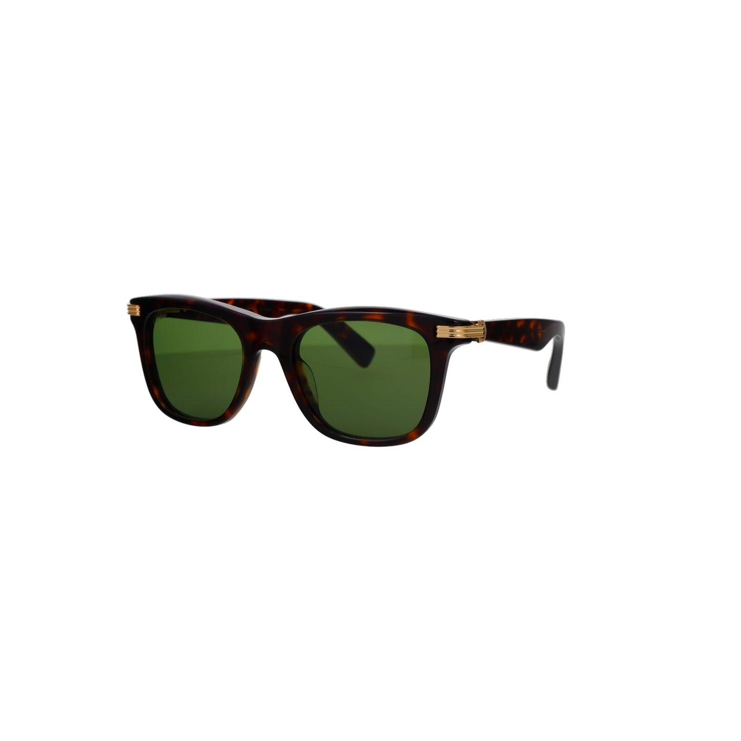 CT0396S Contemporary Acetate Sunglasses