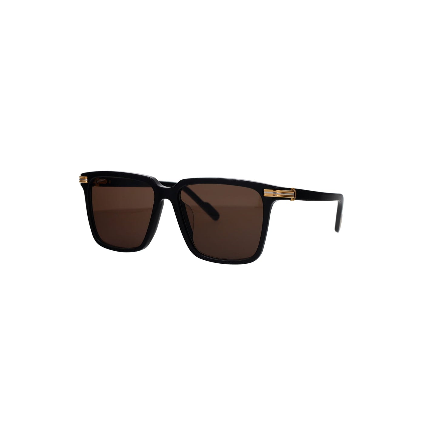 CT0220SA Contemporary Acetate Sunglasses