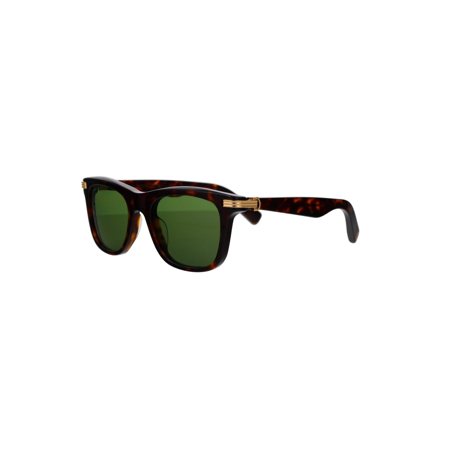 CT0396S Contemporary Acetate Sunglasses