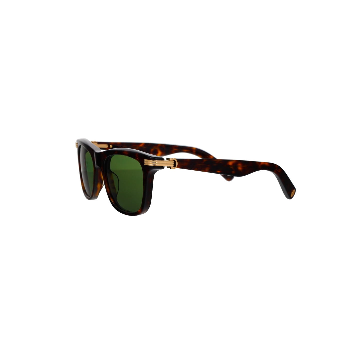 CT0396S Contemporary Acetate Sunglasses