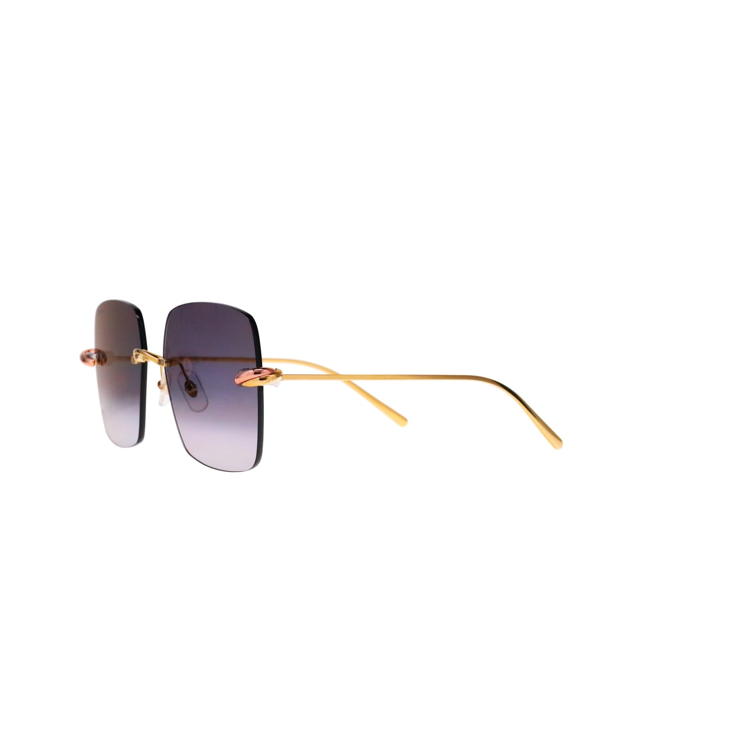 CT0508S Trinity Square Sunglasses