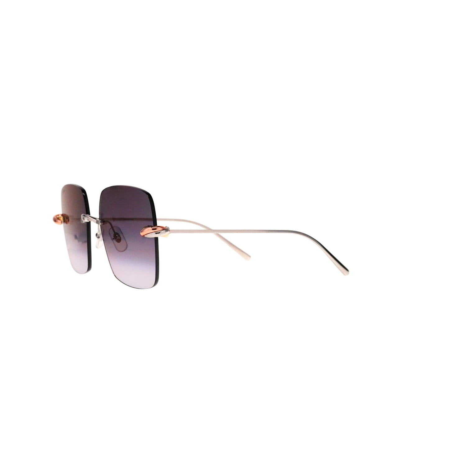 CT0508S Trinity Square Sunglasses