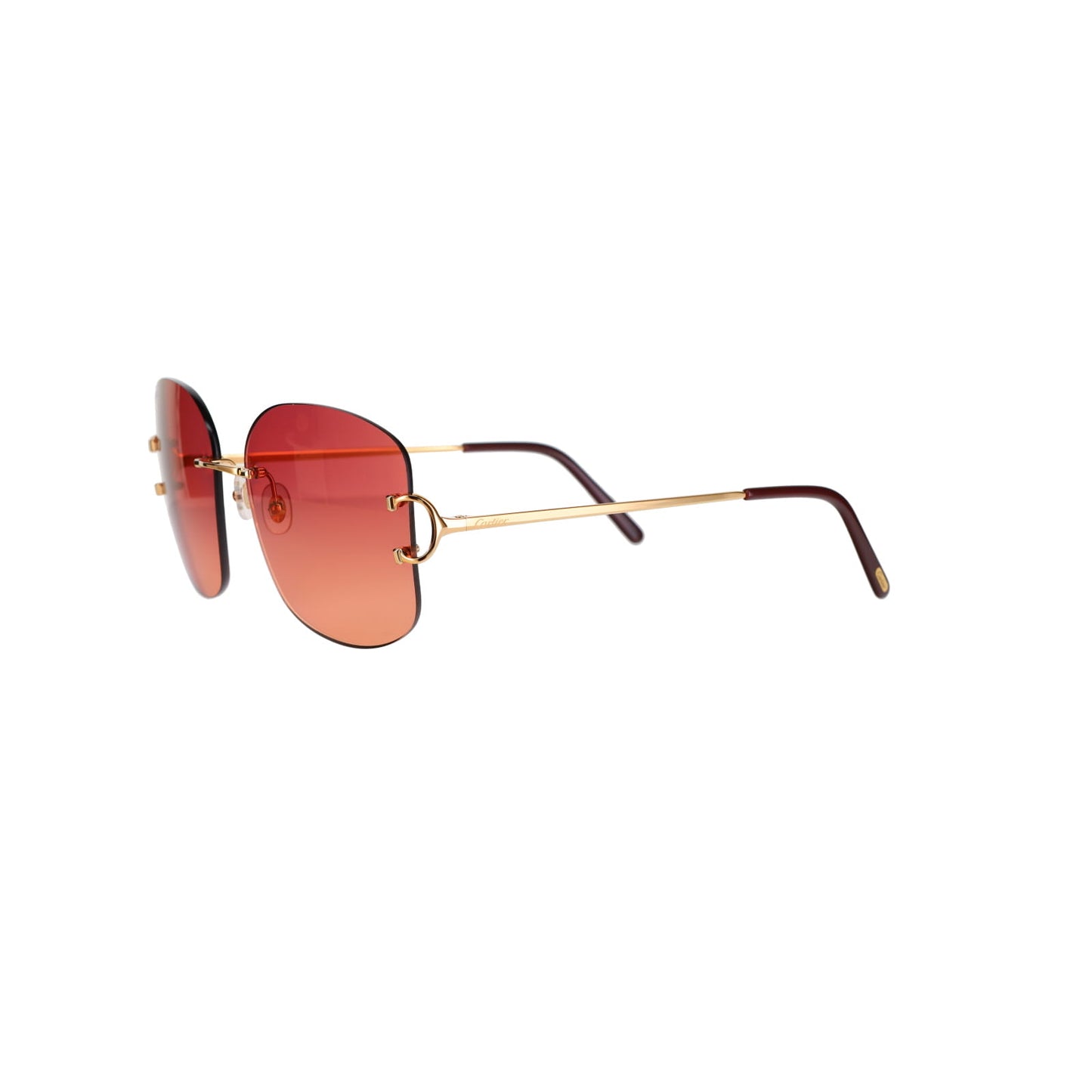 CT0037RS Signature C Sunglasses