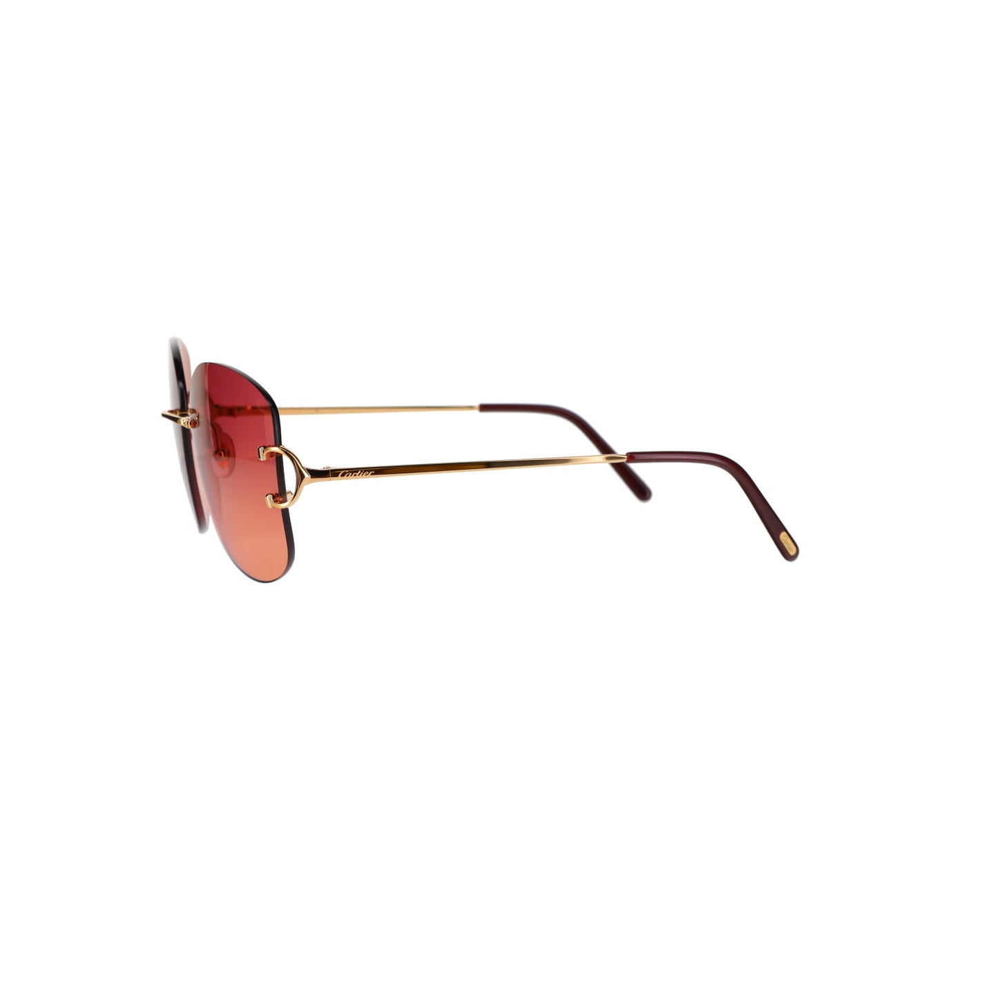 CT0037RS Signature C Sunglasses