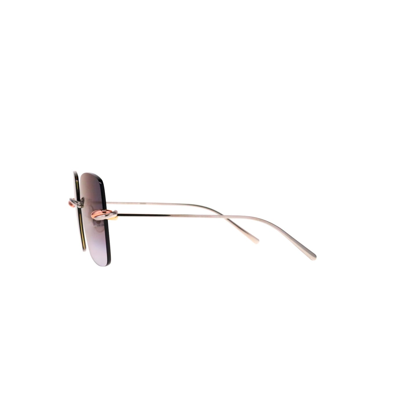 CT0508S Trinity Square Sunglasses