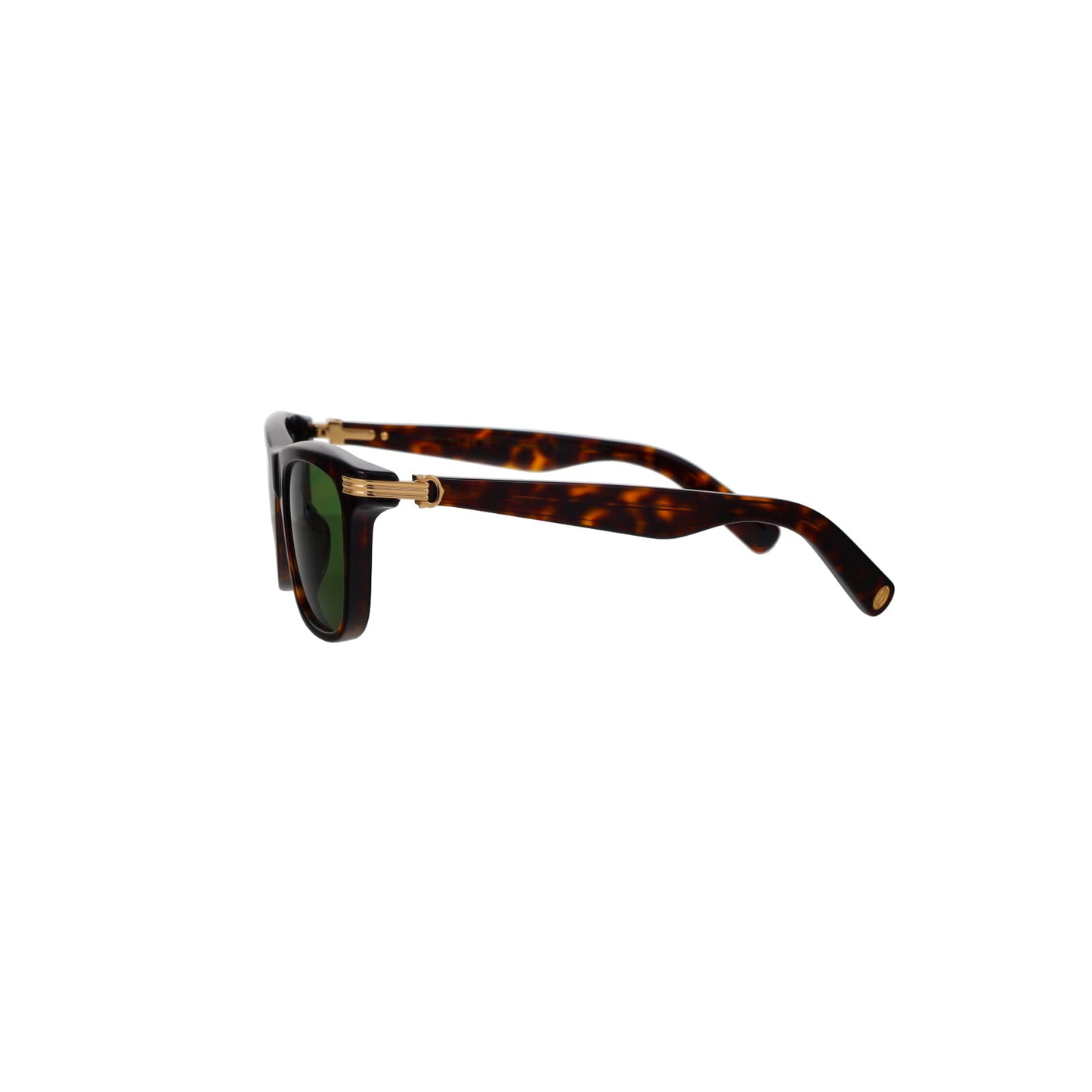 CT0396S Contemporary Acetate Sunglasses