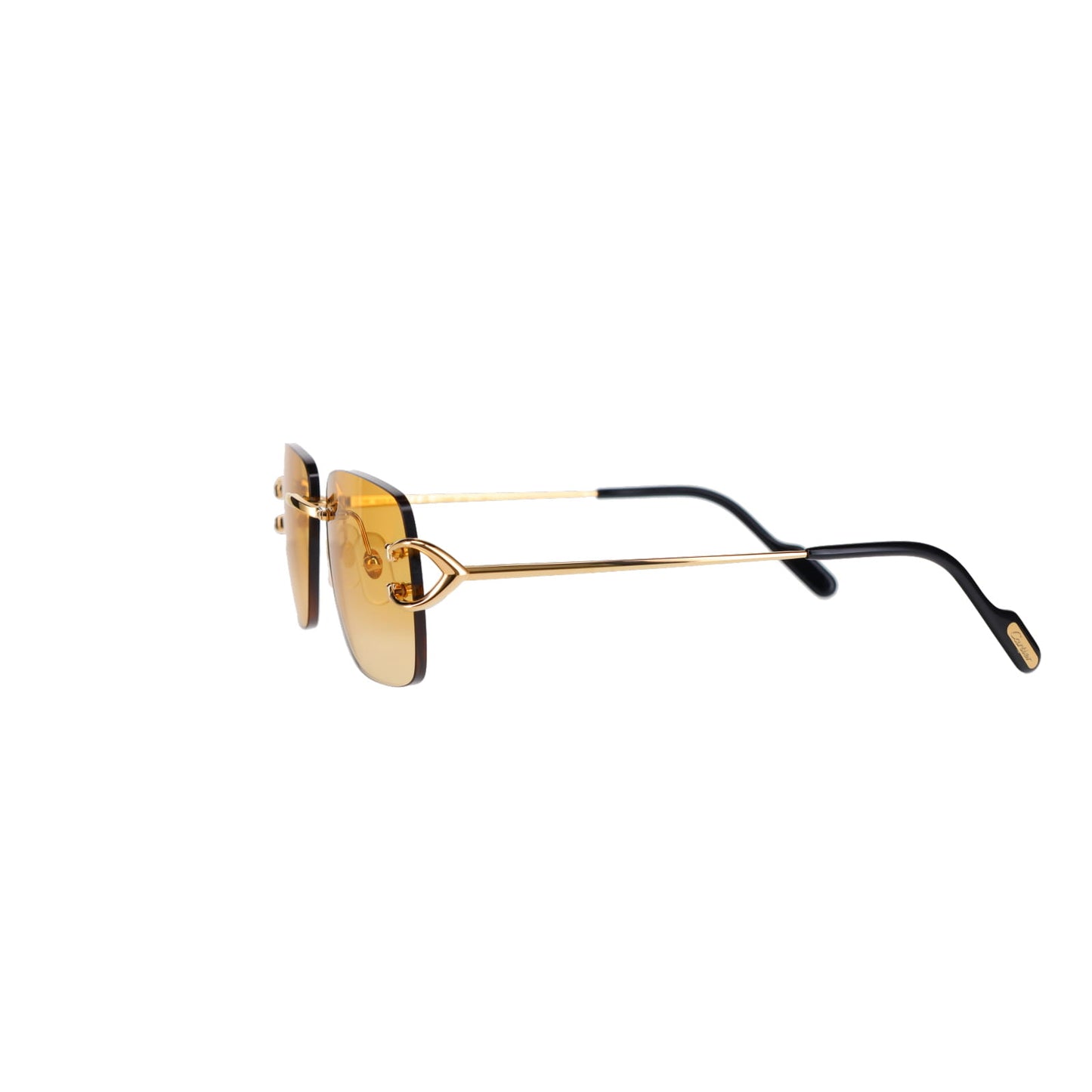 CT0330S Signature C de Cartier Sunglasses
