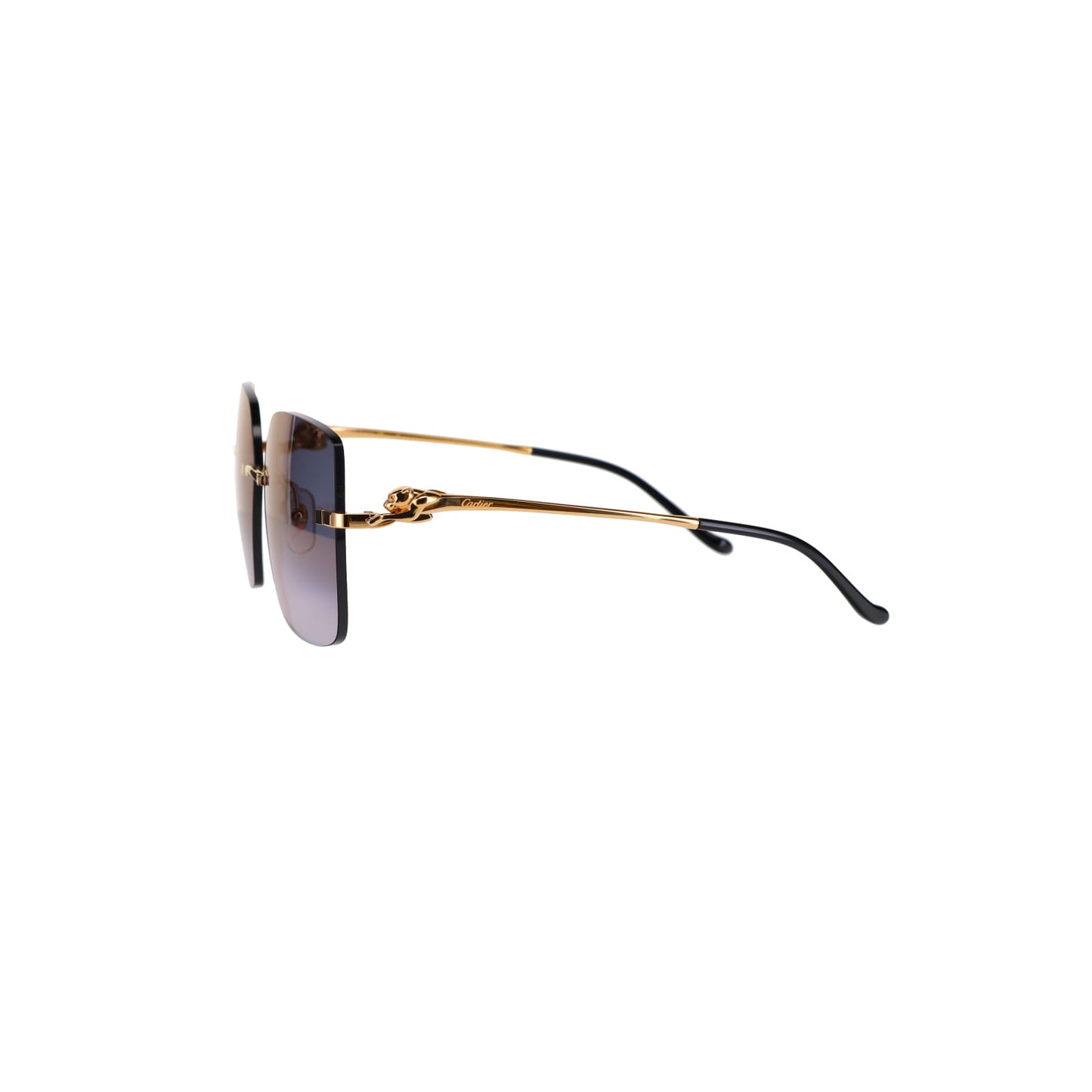 CT0359S Panthère Sunglasses