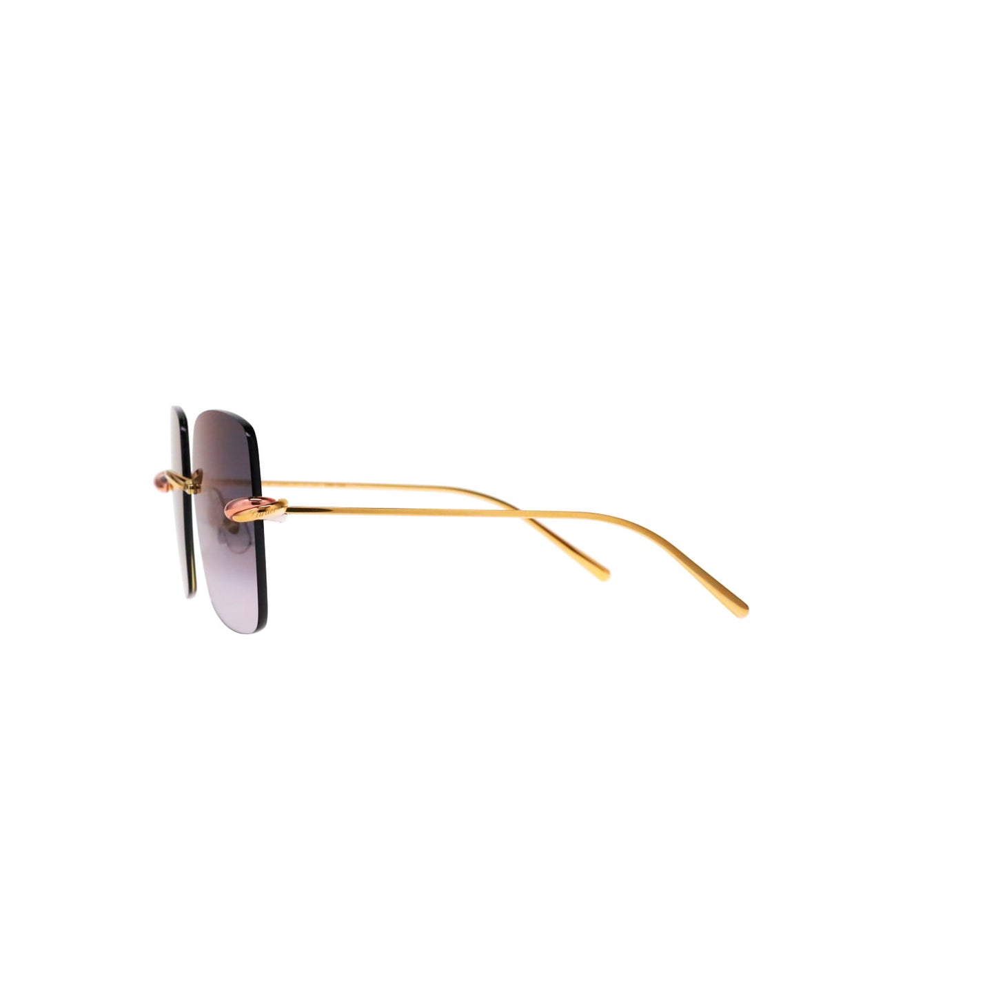 CT0508S Trinity Square Sunglasses