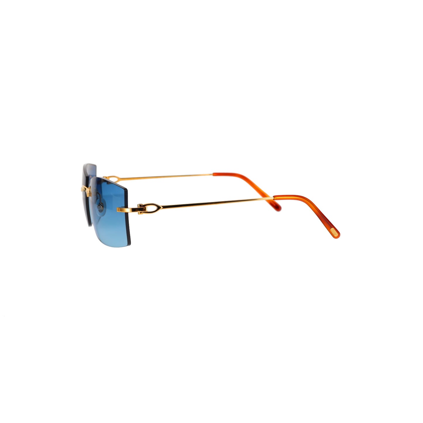 CT0005RS C Décor Sunglasses