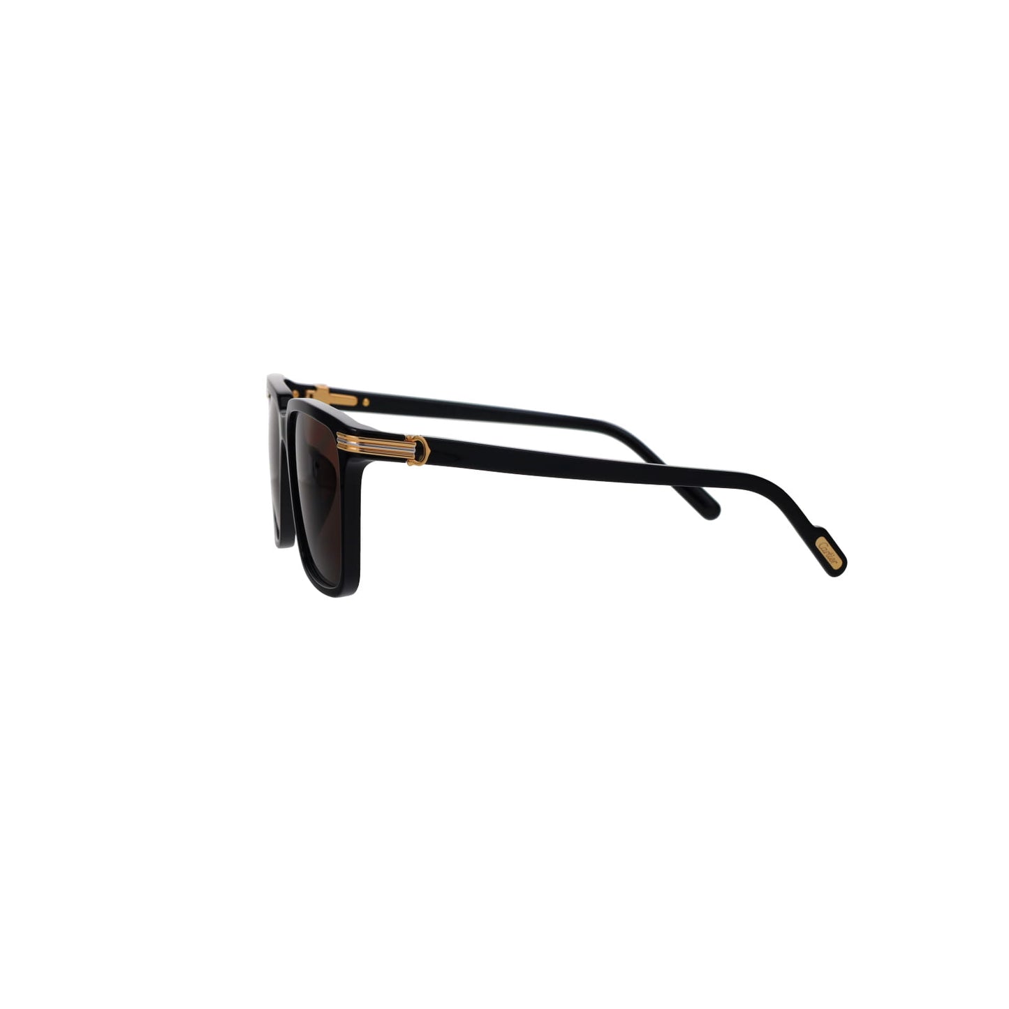 CT0220SA Contemporary Acetate Sunglasses