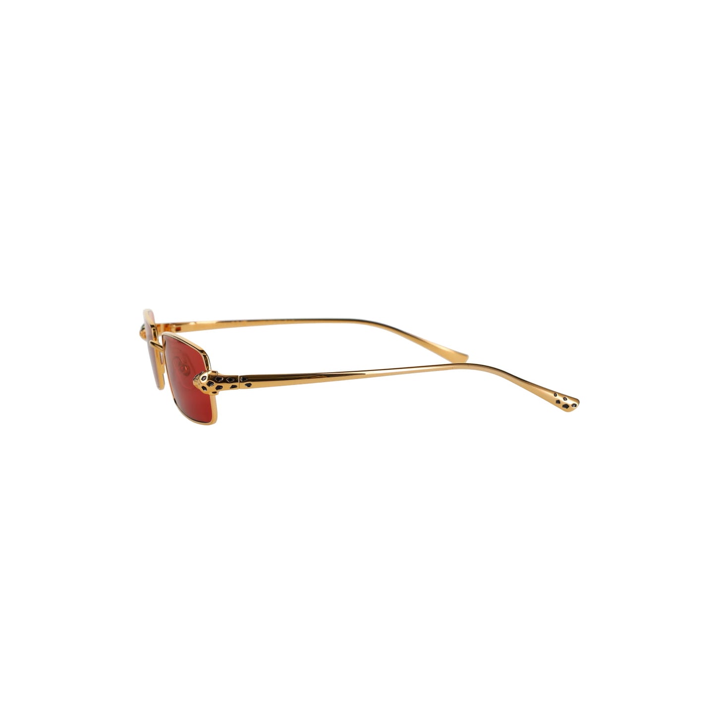 CT0473S Panthère Sunglasses