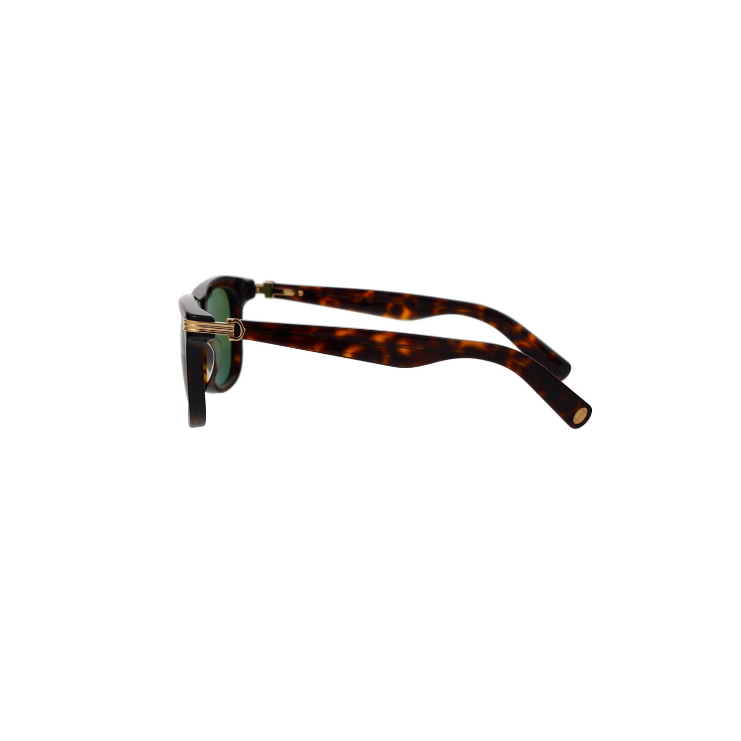 CT0396S Contemporary Acetate Sunglasses