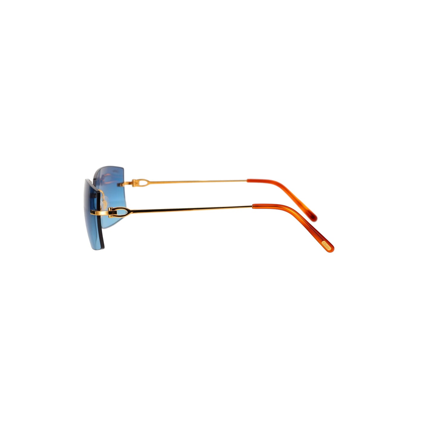 CT0005RS C Décor Sunglasses