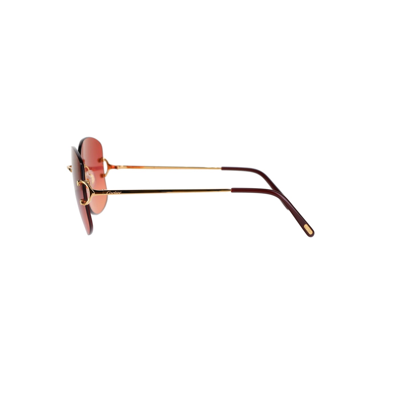 CT0037RS Signature C Sunglasses