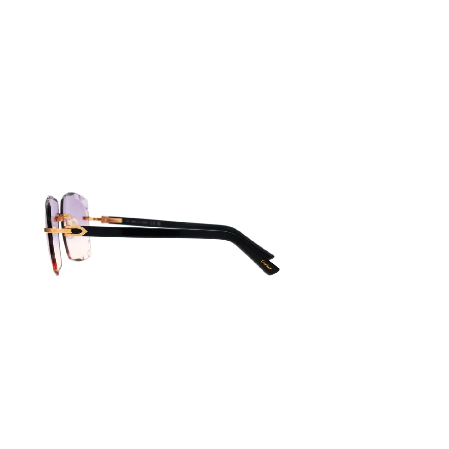 CT0048O Cartier Custom C Décor Acetate Sunglasses