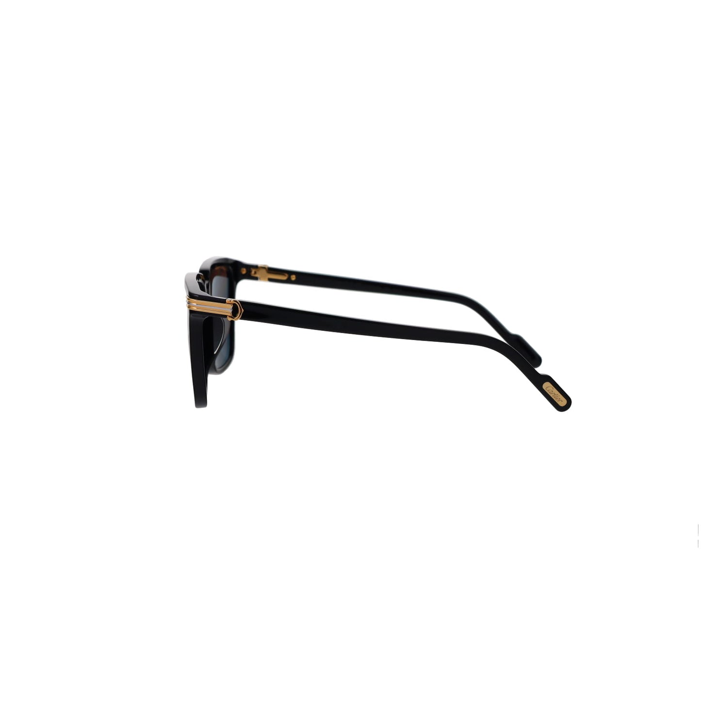 CT0220SA Contemporary Acetate Sunglasses