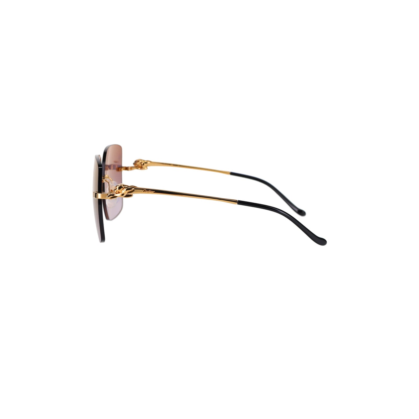 CT0359S Panthère Sunglasses