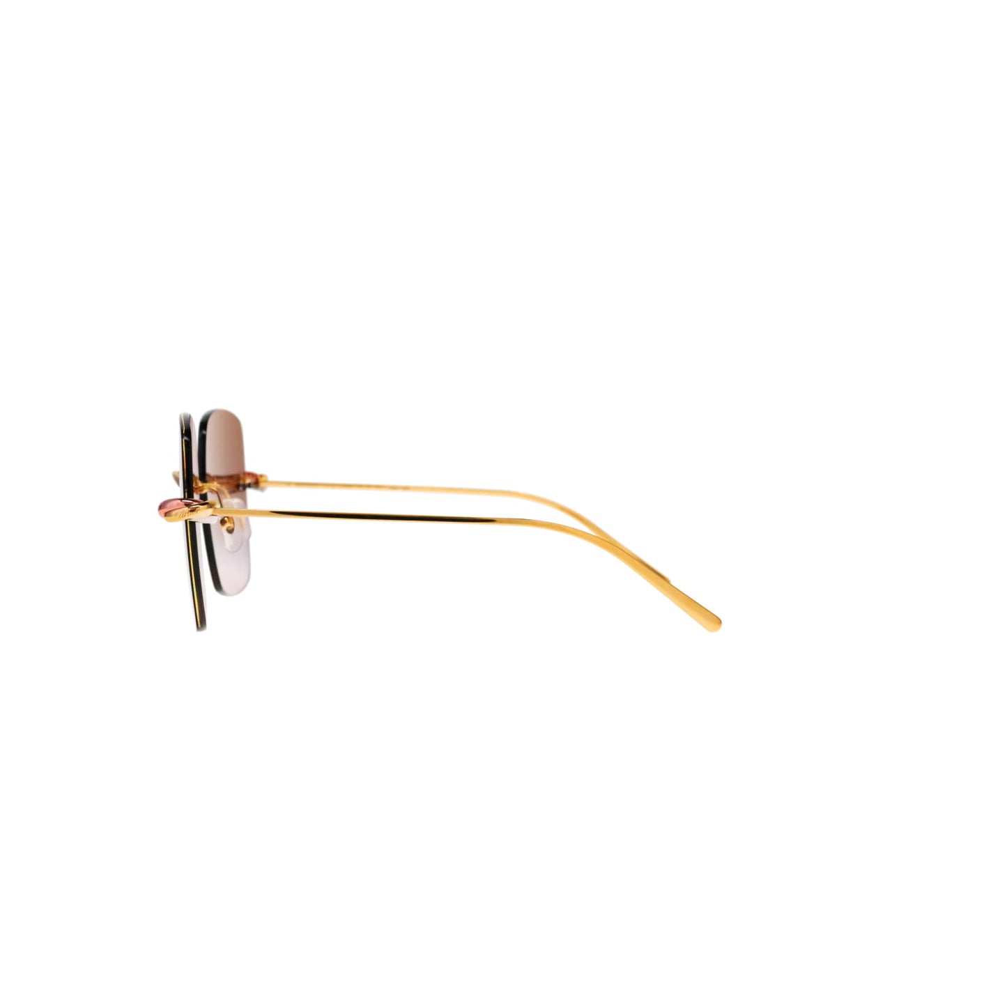 CT0508S Trinity Square Sunglasses