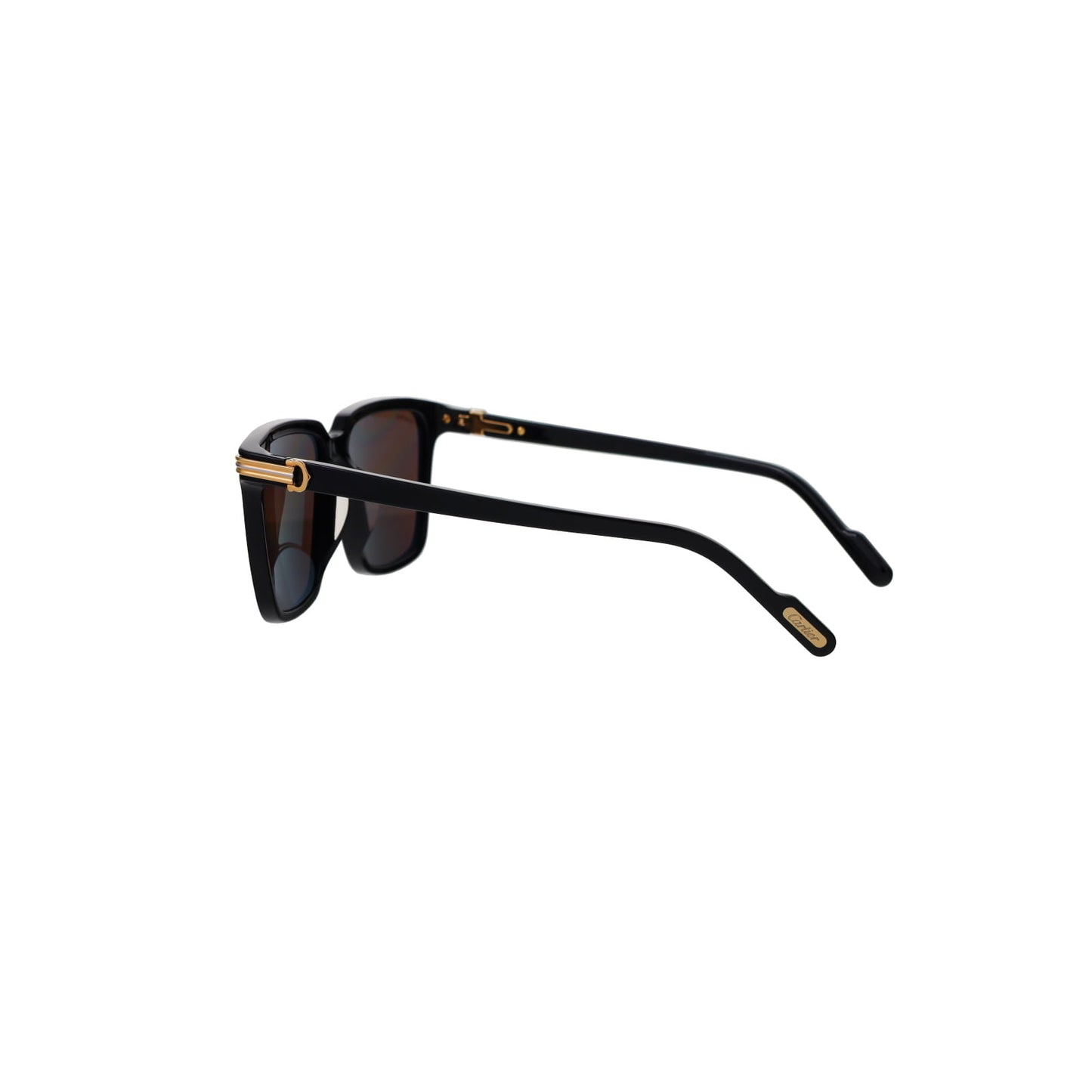 CT0220SA Contemporary Acetate Sunglasses