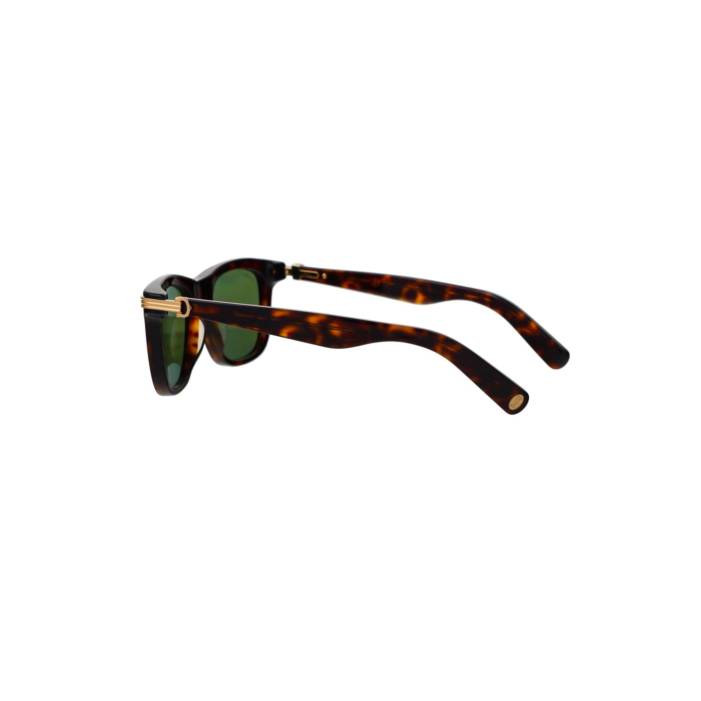 CT0396S Contemporary Acetate Sunglasses