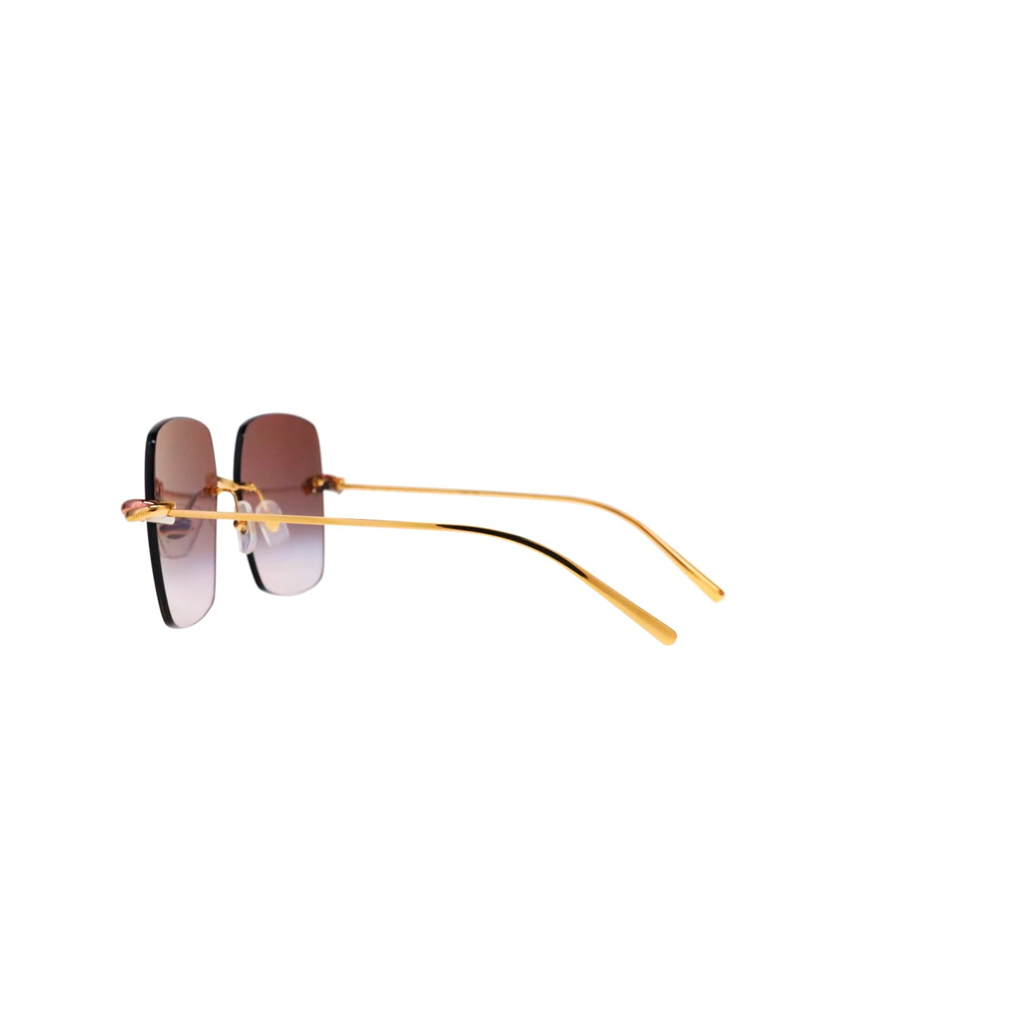 CT0508S Trinity Square Sunglasses