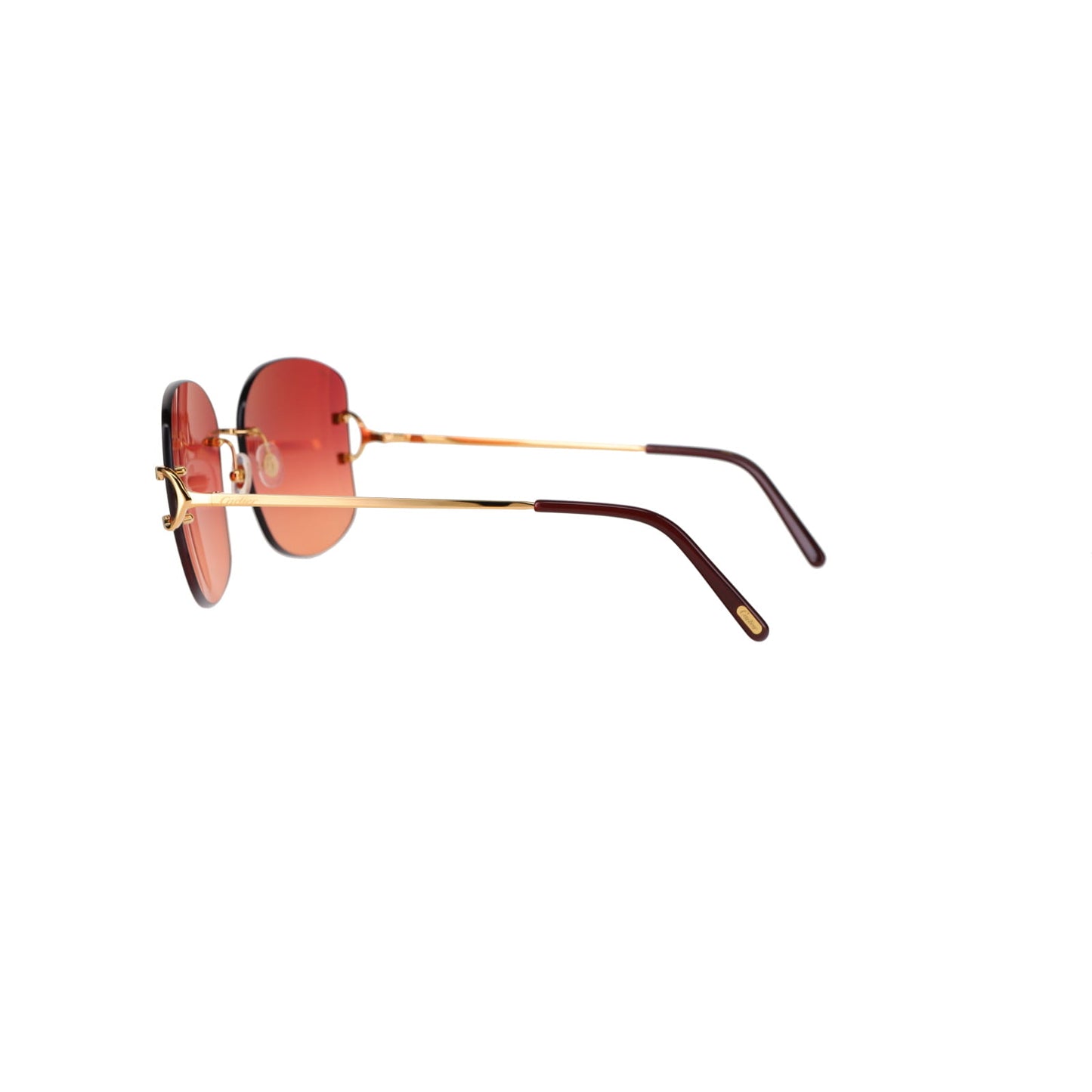 CT0037RS Signature C Sunglasses