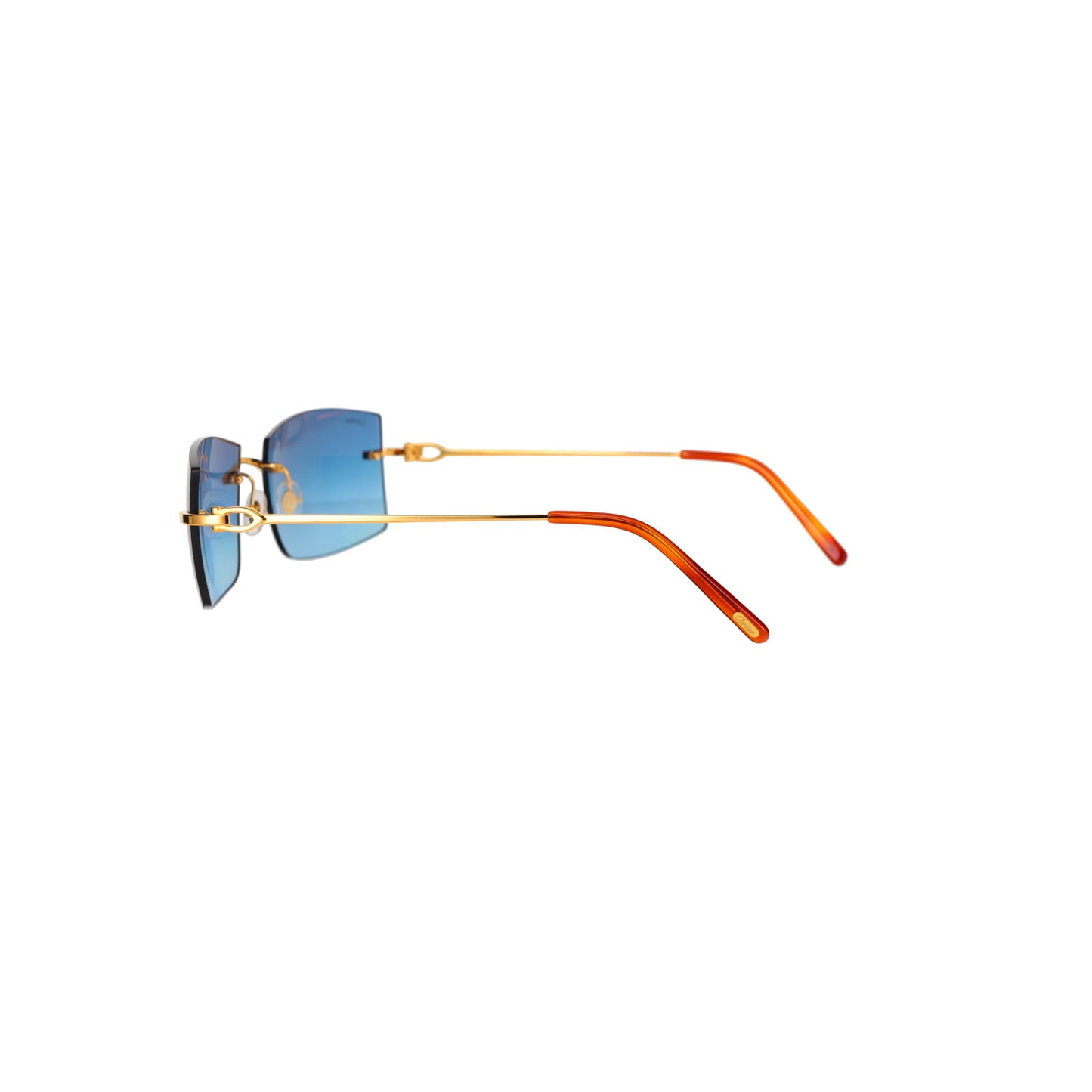 CT0005RS C Décor Sunglasses