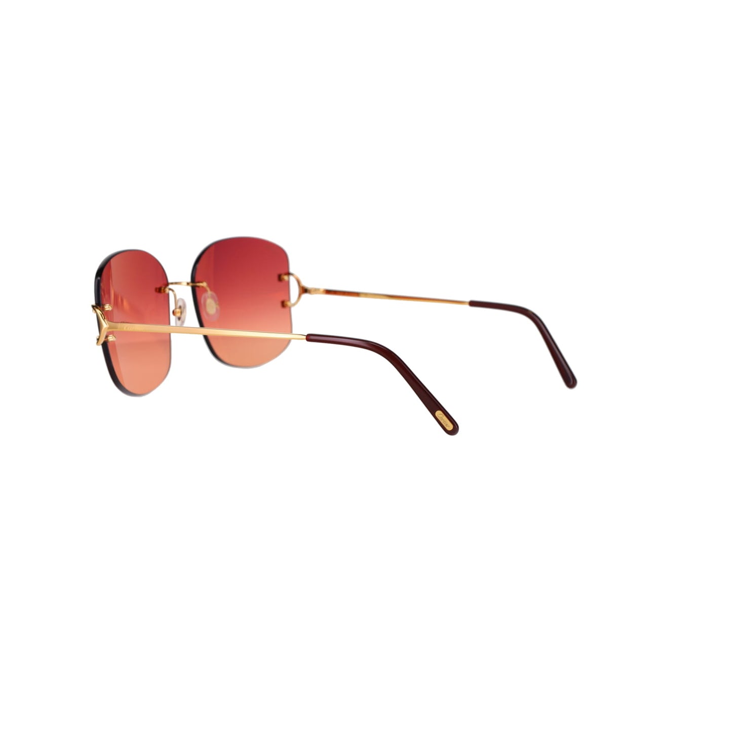CT0037RS Signature C Sunglasses