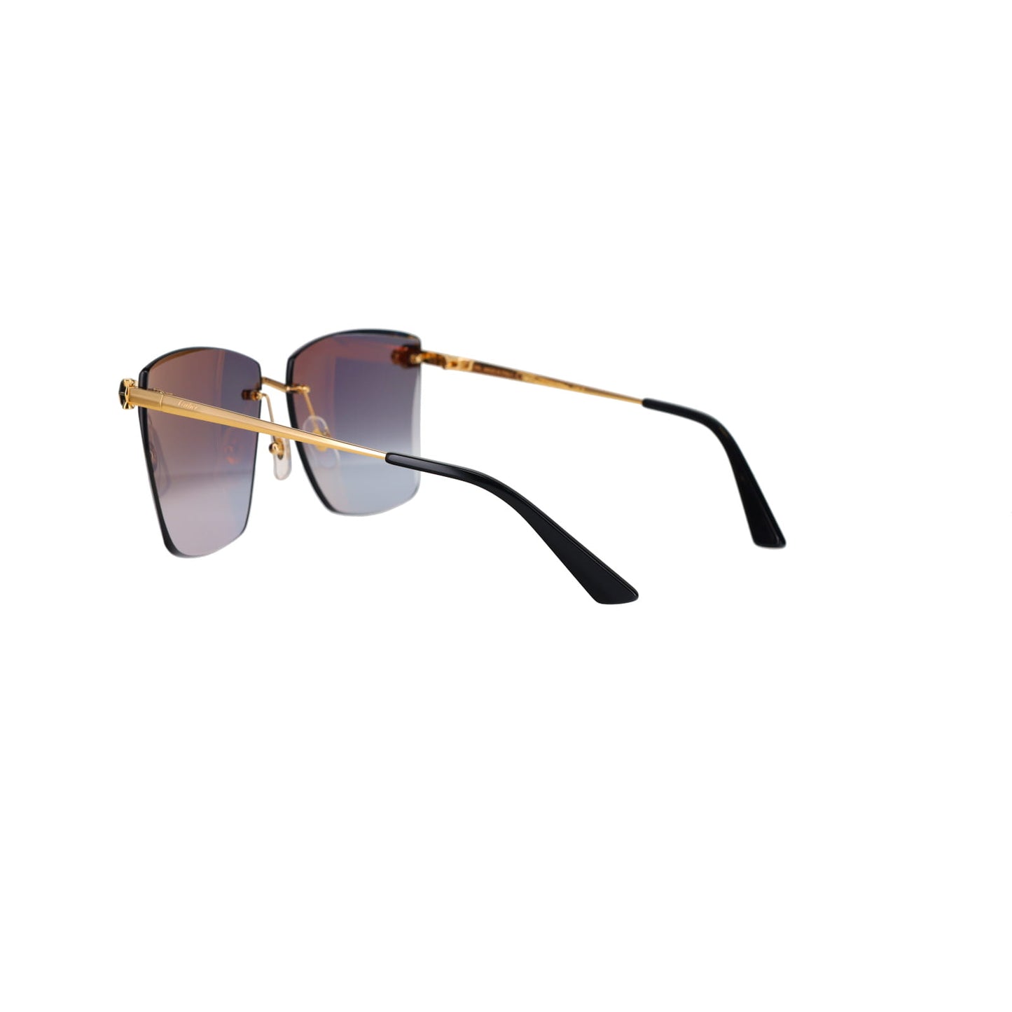 CT0397S Panthère Sunglasses