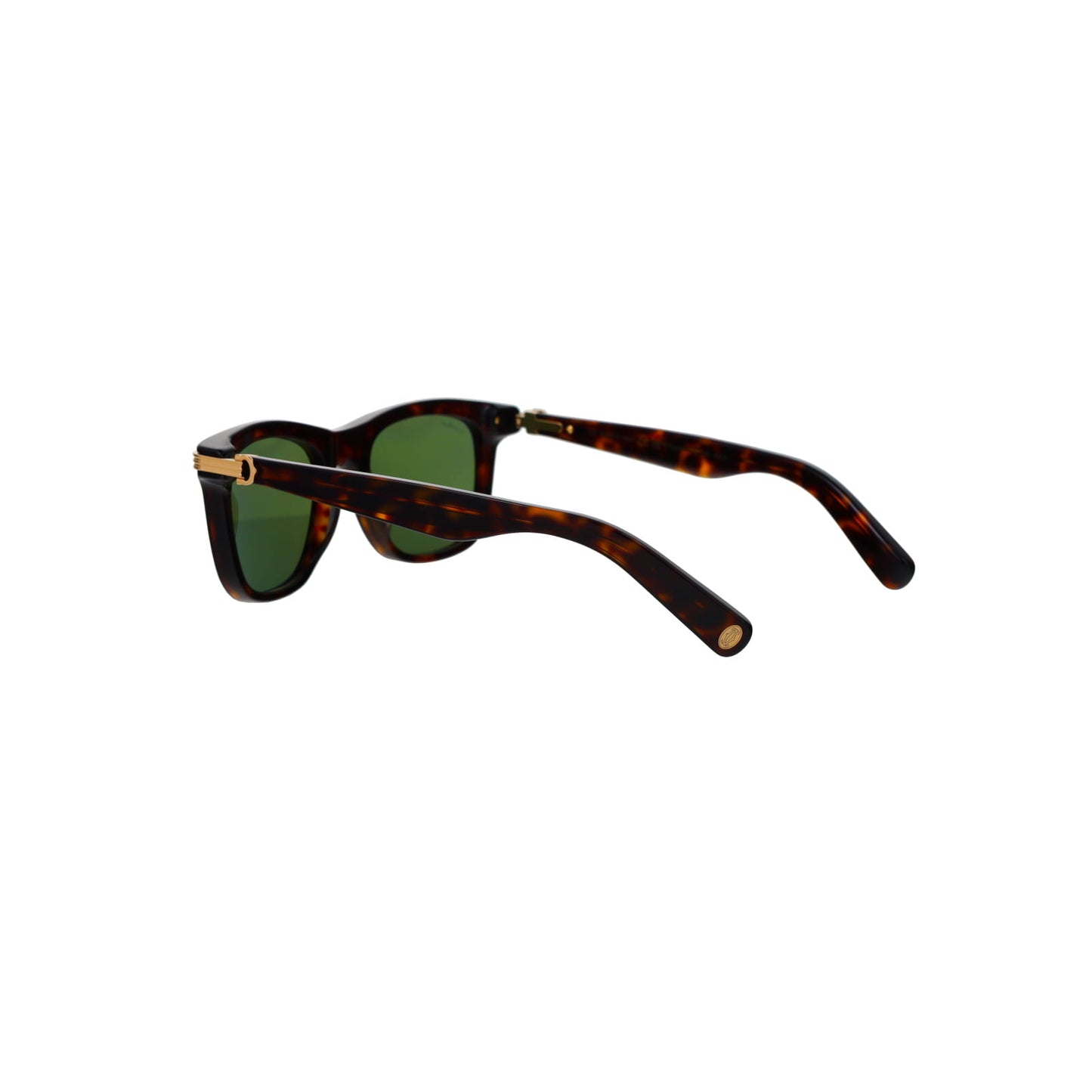 CT0396S Contemporary Acetate Sunglasses