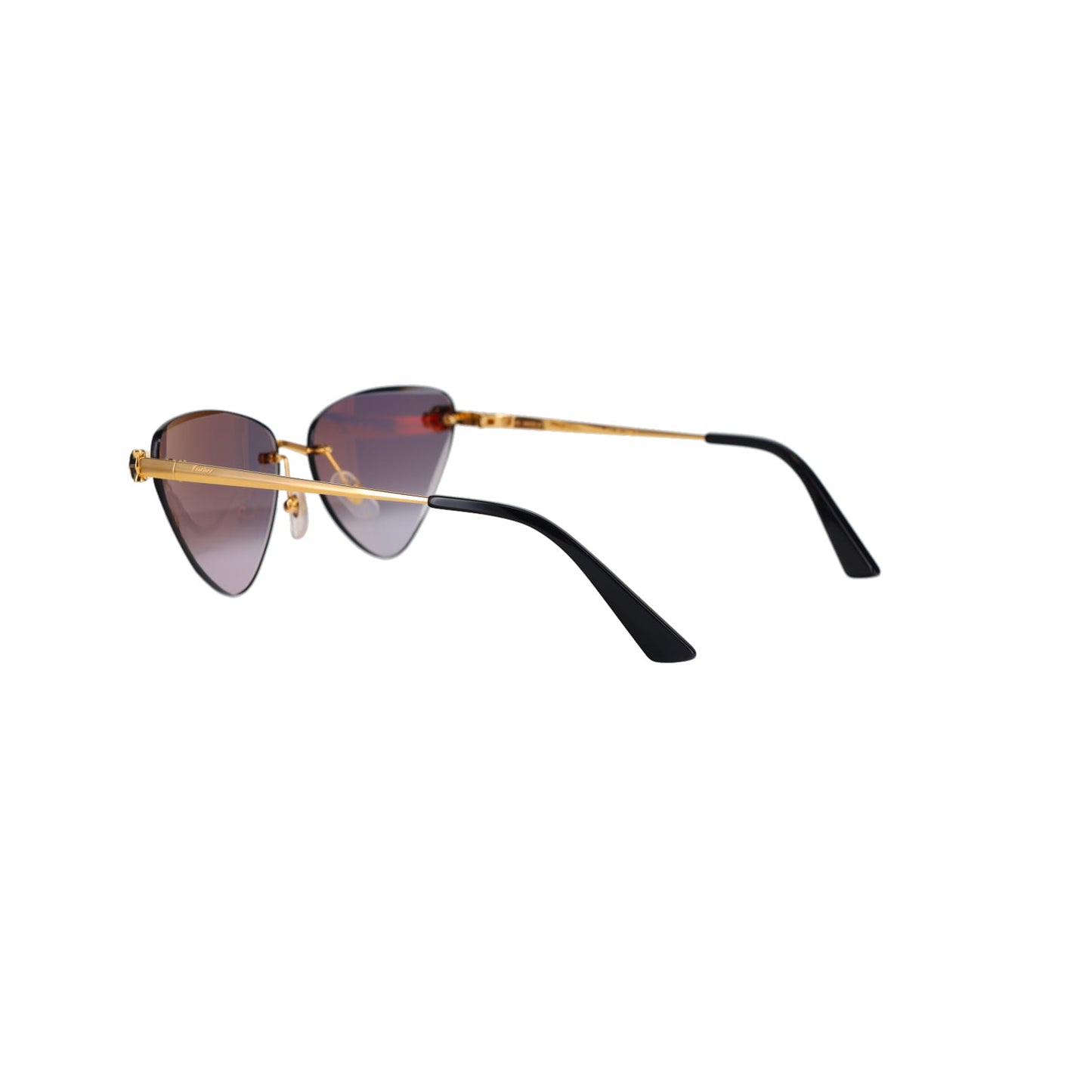 CT0399S Panthère Sunglasses