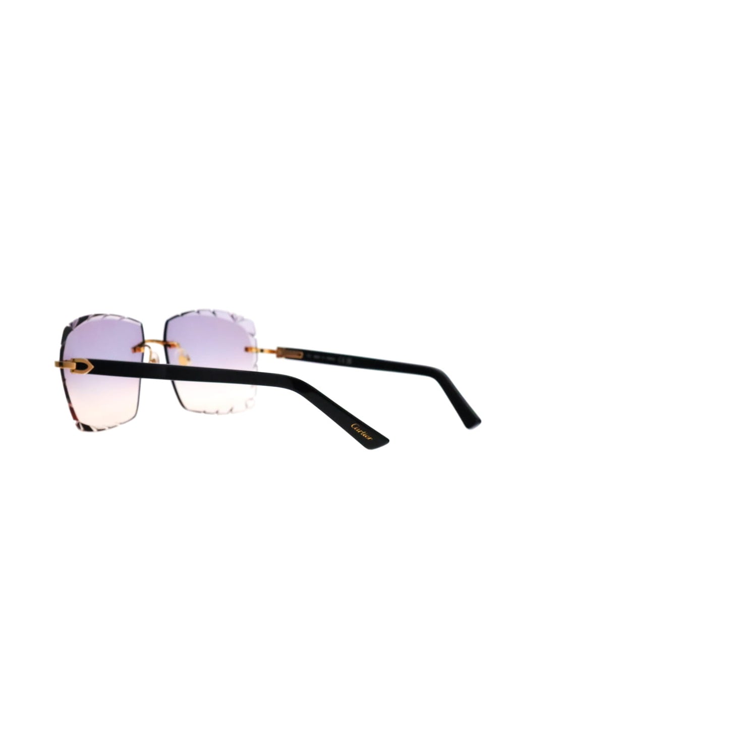 CT0048O Cartier Custom C Décor Acetate Sunglasses